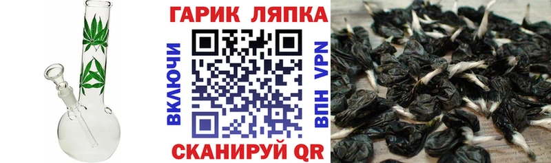 Гашиш Cannabis  наркошоп  Заволжье 