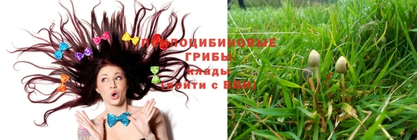 PSILOCYBIN Абинск