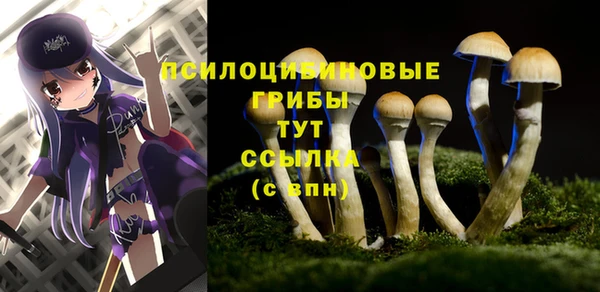 экстази Алзамай